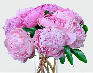Explore our stunning floral arrangements and make Mom's day with flowers from Butterfield!